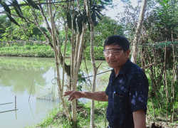 Ao cá của hội viên Thiều Quang Bình