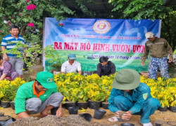 Hội viên CCB xã Bình Sơn, huyện Hiệp Đức tham gia ươm cây giống