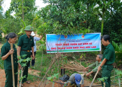 Hội viên CCB thị trấn Tiên Kỳ tham gia trồng cây Sầu Riêng, Măng Cụt