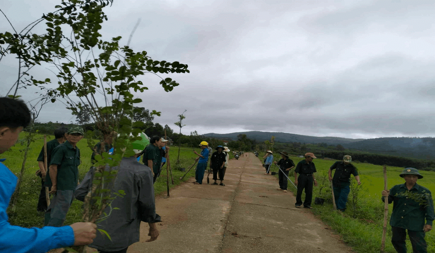 Hội CCB xã Bình Phú tổ chức ra quân dọn vệ sinh, trồng cây tại thôn NTM kiểu mẫu Đức An