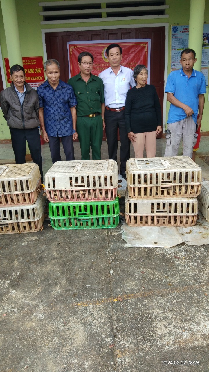 Hội CCB xã Trà Dương trao tặng 480 con gà giống cho 04 hội viên CCB nghèo