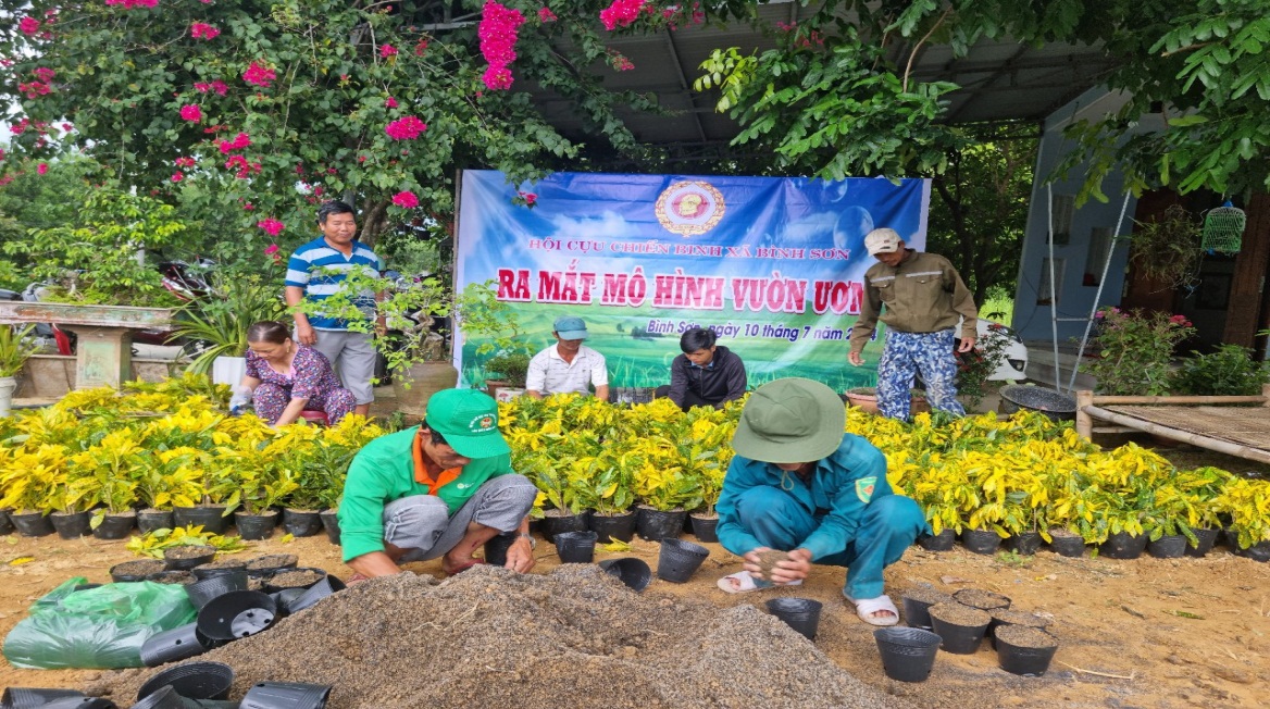 Hội viên CCB xã Bình Sơn, huyện Hiệp Đức tham gia ươm cây giống