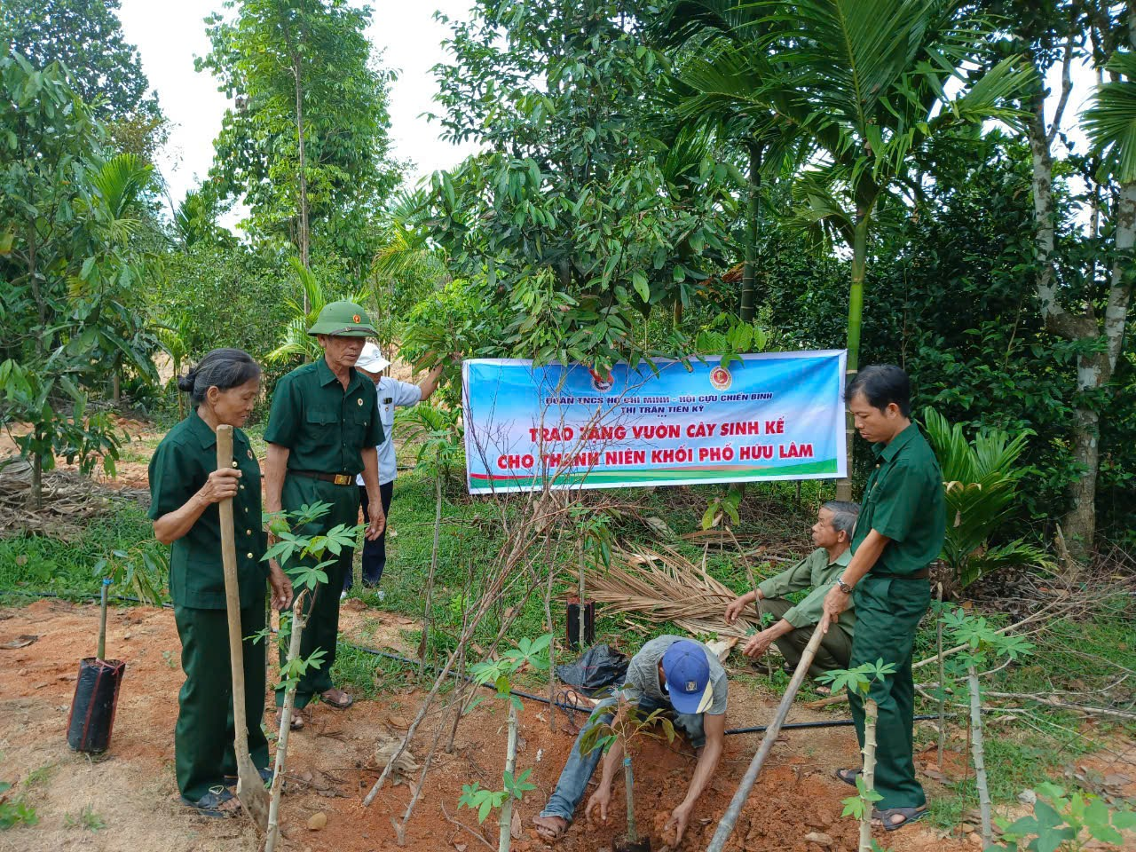 Hội viên CCB thị trấn Tiên Kỳ tham gia trồng cây Sầu Riêng, Măng Cụt