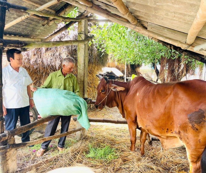 Nguồn vốn xoay vòng giúp CCB Nguyễn Ngọc Mười đầu tư phát triển kinh tế